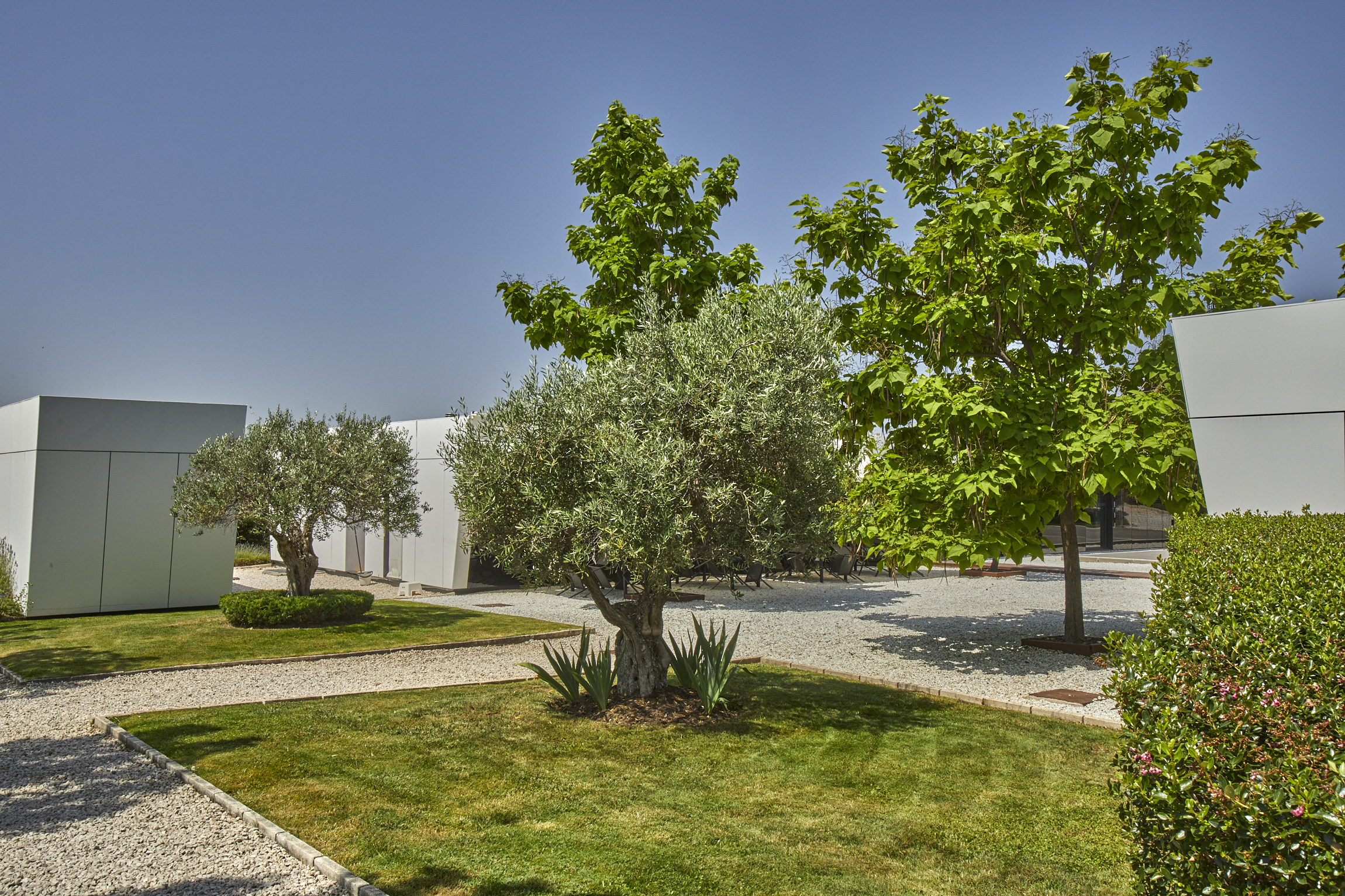 Olivos Clínica Recal